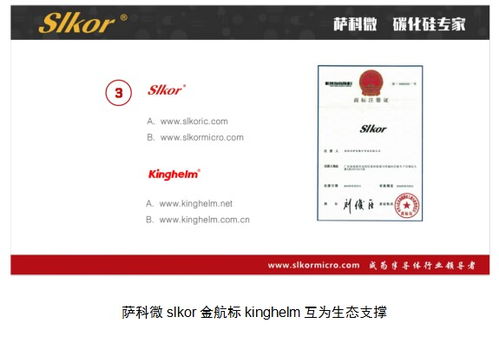 互聯(lián)網(wǎng)營銷的底層邏輯如何驅(qū)動產(chǎn)品開發(fā)布局——以薩科微金航標宋仕強為例